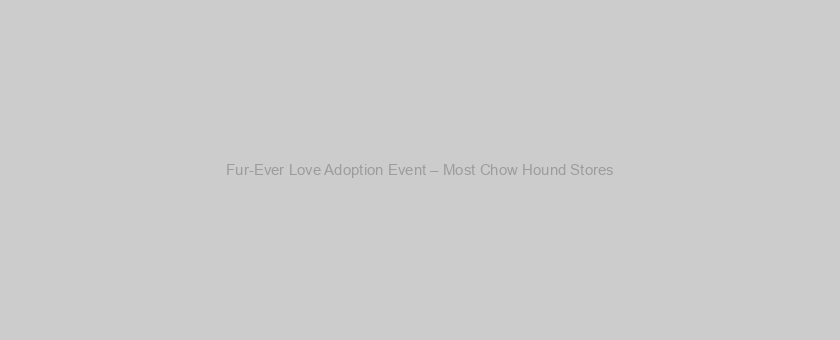 Fur-Ever Love Adoption Event – Most Chow Hound Stores